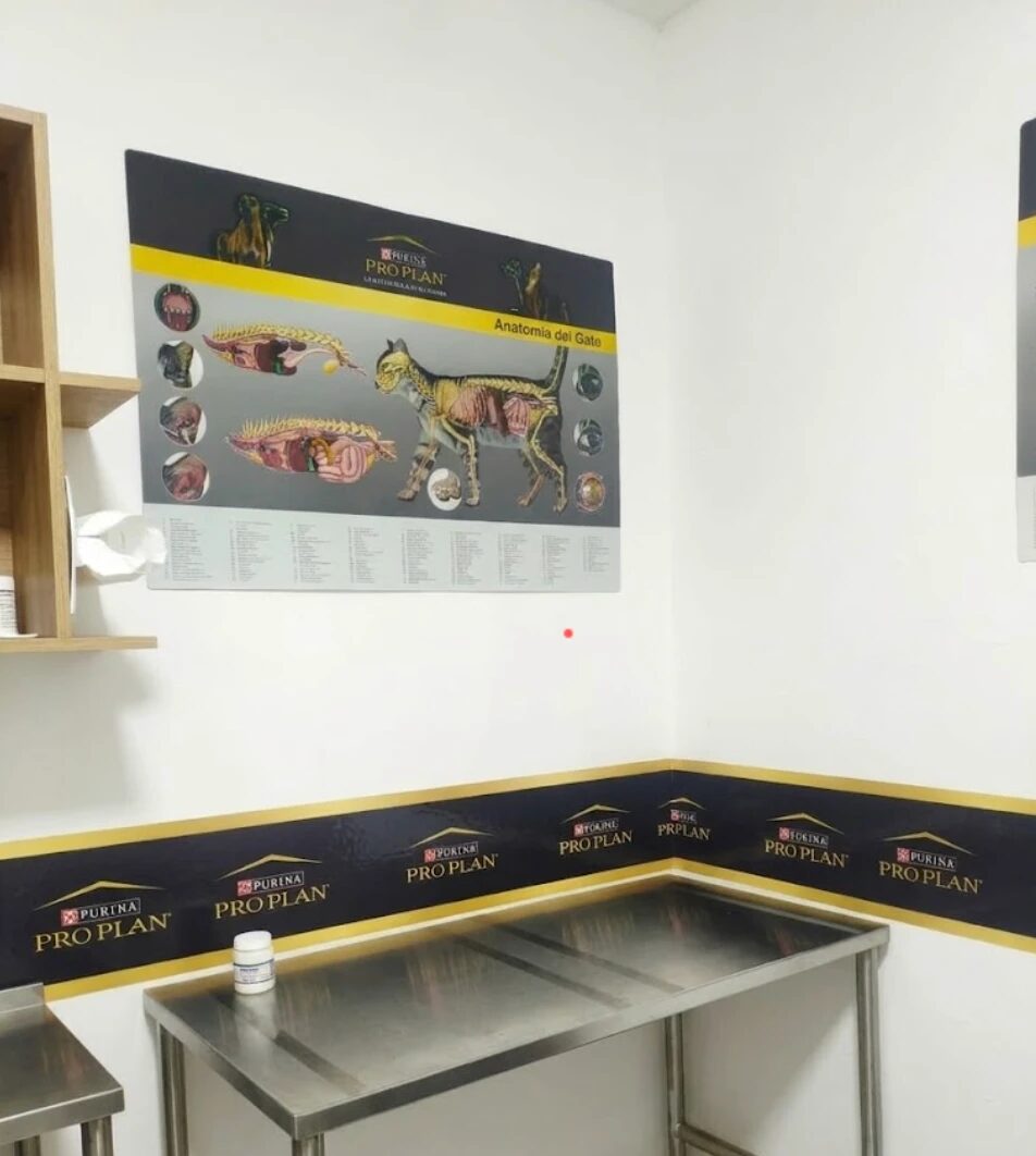 Sala de consulta del consultorio de Tayra en Bello, con mesa de acero inoxidable